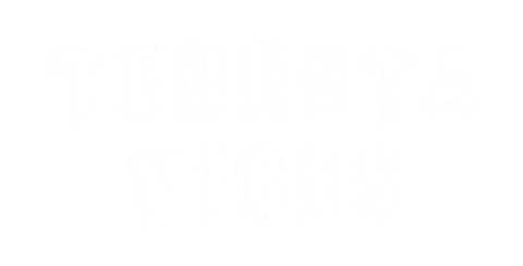 leritbi giphyupload vibes terreta terretavibes Sticker