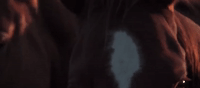 nebraska GIF