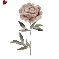 Heart Love Sticker