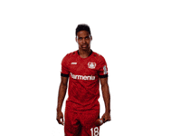 Bayer 04 Werkself GIF by Bayer 04 Leverkusen