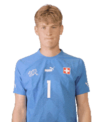 Switzerland Suisse Sticker by Swiss Football Association