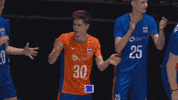 Team Applause GIF by Volleyball World