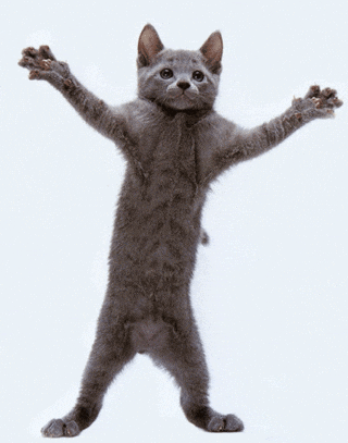 Happy Dance GIF