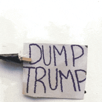 resistance make america nothing again GIF by Center for Story-based Strategy 