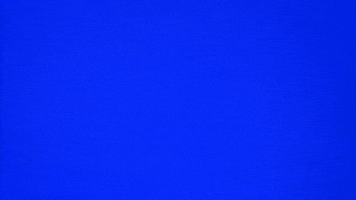 Under Water Fish GIF