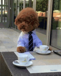 Coffee Break GIF