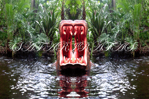 historyofgifs giphyupload GIF