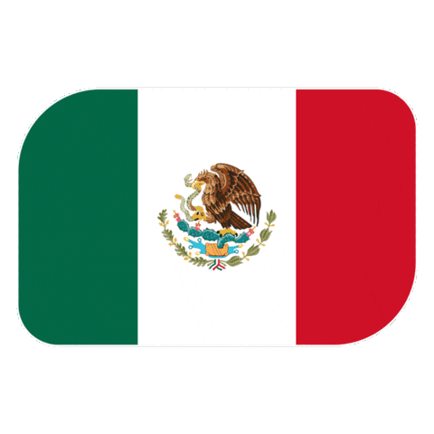 World Cup Football Sticker