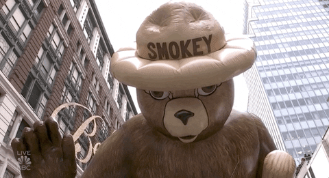 Macys Parade GIF by The 96th Macy’s Thanksgiving Day Parade