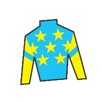 Horse Racing Sticker by Kentucky Derby