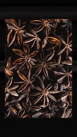 Spiced Rum Autumn GIF by Art in the Age Spirits