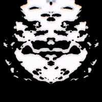 Art Mirror GIF by John Fogarty