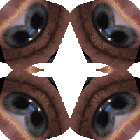 photo eye GIF by John Fogarty