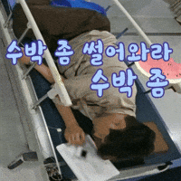 신성 GIF