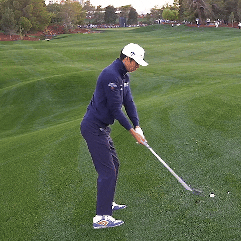 Formula 1 Golf GIF by AA23