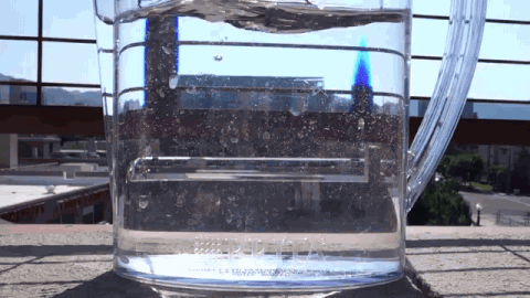 bottle GIF