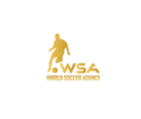 Football Wsa Sticker by worldsocceragency