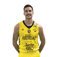La Rochelle Basketball Sticker by Stade Rochelais