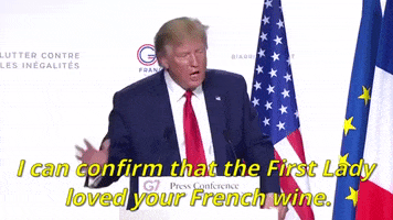 Donald Trump G7 GIF by anthony rei