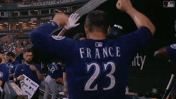 Lets Go Sport GIF by MLB
