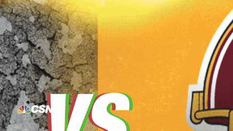 Pittsburgh Steelers Football GIF by NBC Sports Washington