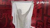 Republicfc Sacrepublic GIF by Sacramento Republic FC