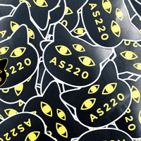 AS220  GIF