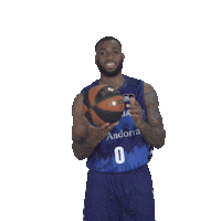 Liga Endesa Spinning Sticker by ACB