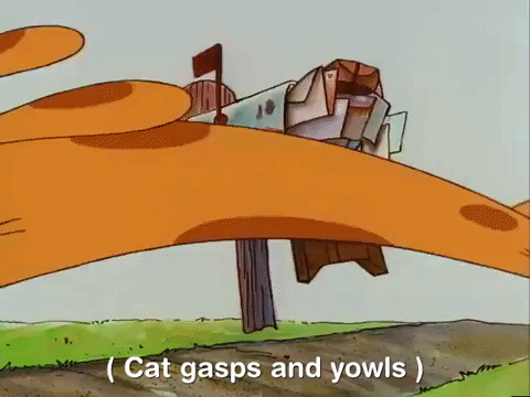 nicksplat GIF