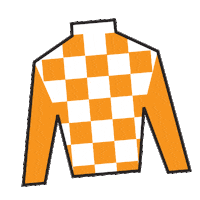 Horse Racing Silk Sticker by Kentucky Derby