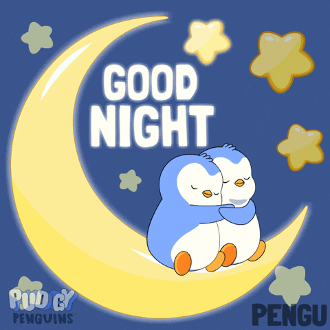 Good Night Sleeping GIF by Pudgy Penguins
