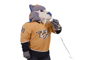 Ice Hockey Sticker by NHL