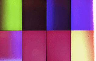 color 35mm GIF by Blanca Viñas