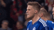 Football Celebration GIF by FC Schalke 04