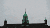 OSIER city amsterdam GIF