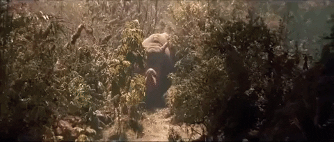 Wild Animals Movie GIF