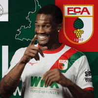 The Wolf Football GIF by FC Augsburg 1907