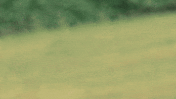 Photo gif. Looking over his shoulder at us, Donald Trump scoots into the frame, pauses, then scoots out of the frame.