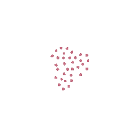 Dots Accent Sticker by Freckle & Fern Ceramics