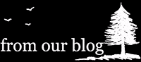 theHandmadeCraftHouse blog handmade forest trees GIF