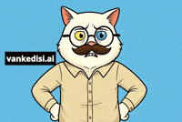 Angry Cat GIF by vankedisi