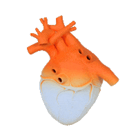 Elsevier nurse back to school nursing elsevier Sticker