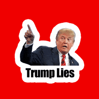 Lying Donald Trump GIF by Creative Courage