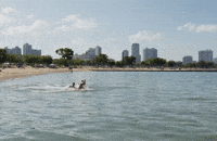 Lets Go Swimming GIF