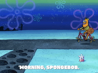 season 5 GIF by SpongeBob SquarePants