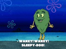 Season 8 GIF by SpongeBob SquarePants