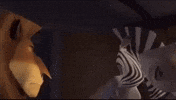 Stare What GIF
