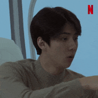Netflix Bustednetflix GIF by Busted!