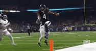 2018 nfl football GIF by NFL