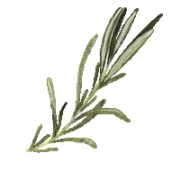 Illustration Baking Sticker